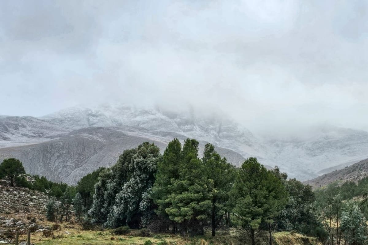 Este miércoles 21 de agosto nevó en Sierra de la Ventana
