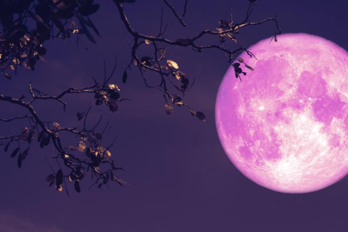 Este miércoles hay Luna llena, la cual se conoce como la "Luna de Fresa"
