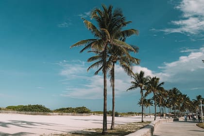Este miércoles será un día soleado y cálido en Miami