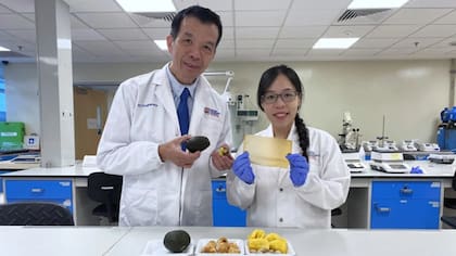 Este nuevo material no solo preserva la comida, sino también alerta cuando se echó a perder