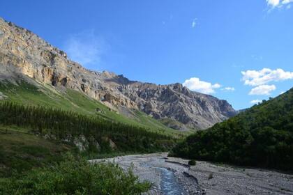 Este parque en Alaska es el que menos visitas recibió a lo largo de 2024