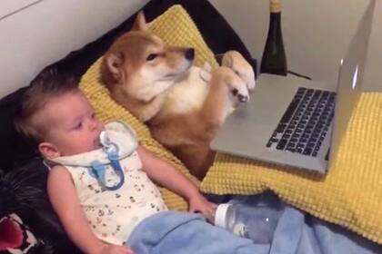 Este pequeño y su Shiva Inu disfrutan de muchos momentos juntos