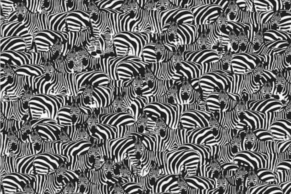 Este reto es para expertos en los acertijos visuales.