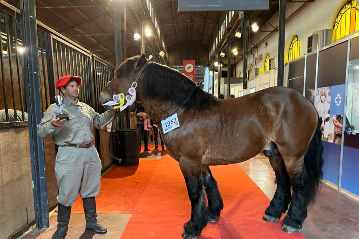Este sábado, la raza recibió su distinción en la pista central de Palermo