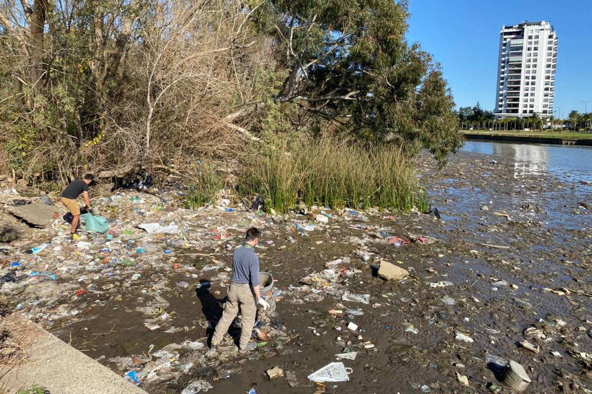 Este sábado, los vecinos convocan a una jornada de limpieza, plantaciones y visita guiada en la reserva
