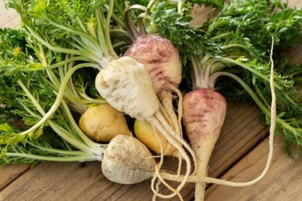 Este superalimento es utilizado desde hace siglos para mejorar el rendimiento (imagen ilustrativa)