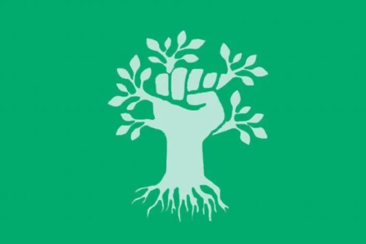 Este test visual revelará si sos sociable o no