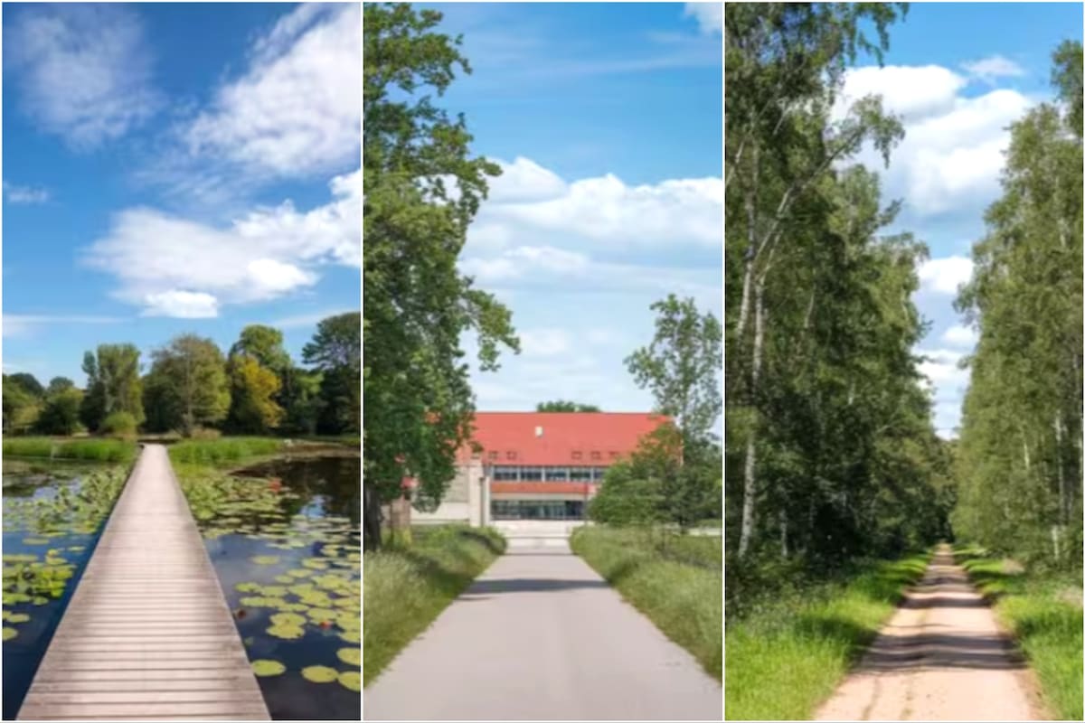 Este test visual se volvió viral en las redes sociales