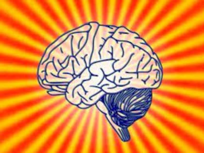 Este tipo de entrenamiento constante es clave para la estimulación cognitiva