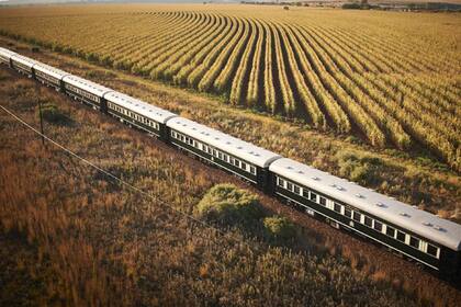 Este tren es conocido como el Orgullo de África