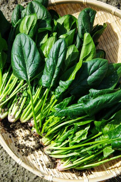 Este vegetal es rico en vitaminas A, C y K, hierro y calcio