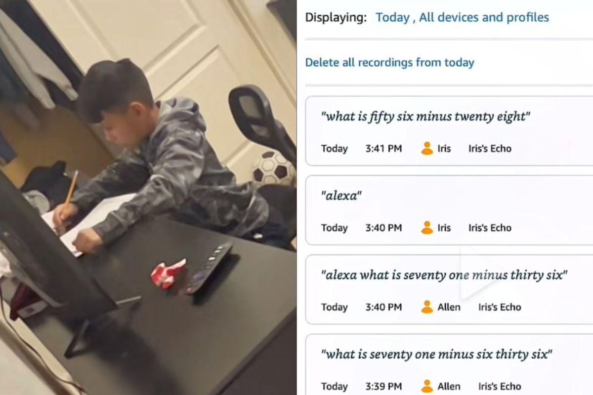 Este vídeo viral cuenta con más de 465 mil "Me gusta" (Foto TikTok @irisgardenia_)