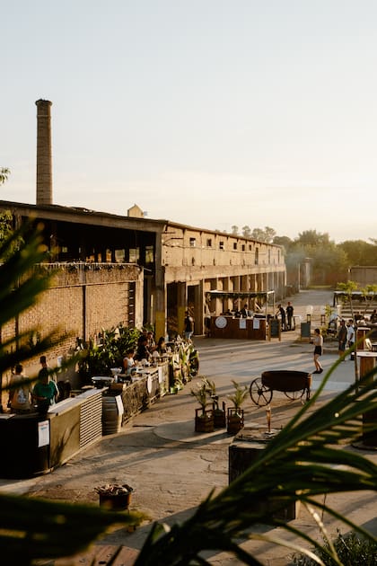 Este viñedo ofrece historia, arquitectura y vino (Gentileza: Viñedo Nueva Corínema)