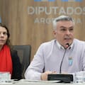 Le robaron el celular al diputado Esteban Paulón mientras daba una entrevista desde Brasil