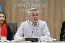 Le robaron el celular al diputado Esteban Paulón mientras daba una entrevista desde Brasil