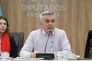 Le robaron el celular al diputado Esteban Paulón mientras daba una entrevista desde Brasil