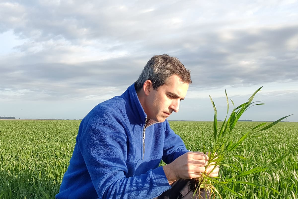 Esteban Bilbao es ingeniero agrónomo, asesor privado y también pequeño productor que siembra unas 150 hectáreas