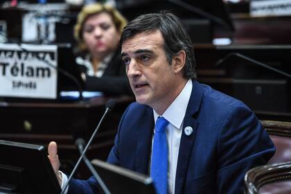 Esteban Bullrich durante su exposición sobre el aborto en el Senado