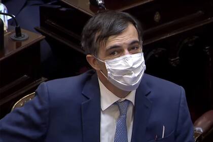Esteban Bullrich en el Senado