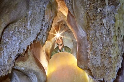 Estegamita en la Cueva de las estegamitas de Málaga