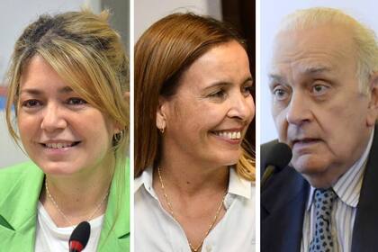 Estela Regidor (UCR Corrientes), Ingrid Jetter (Pro, Corrientes) Alberto Asseff (Pro, Buenos Aires)
