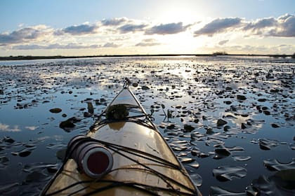 Esteros del Iberá. Colonia Carlos Pellegrini, Corrientes.
Cr: Santiago Greene
