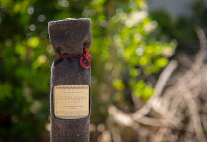 Estiba Reservada, vino icónico en cuyo desarrollo Marina tomó parte