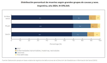 Estimación oficial de las causas de mortalidad en la Argentina con datos a 2024