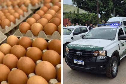 Estiman que el contrabando venía representando unas 50.000 docenas diarias