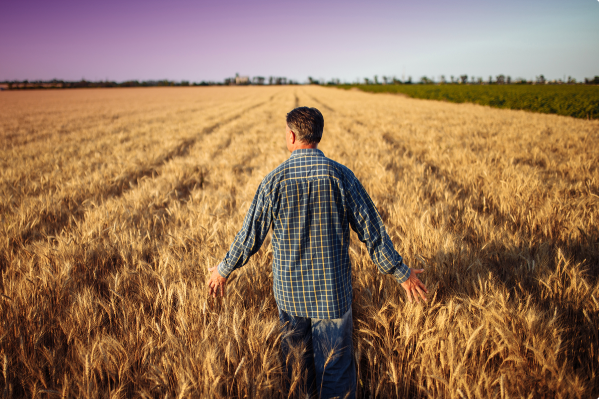 Estimaron que el acuerdo finalizará en el primer semestre de 2026, porque está sujeto a la aprobación de las autoridades competentes