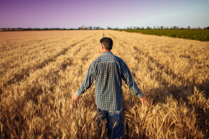 Estimaron que el acuerdo finalizará en el primer semestre de 2026, porque está sujeto a la aprobación de las autoridades competentes