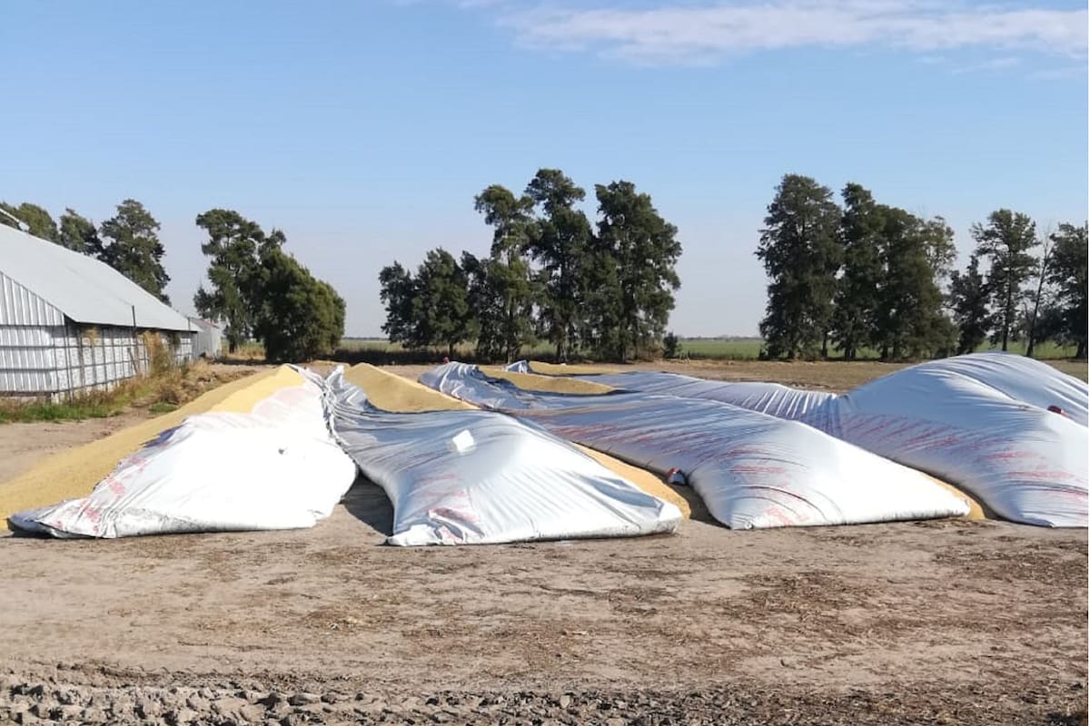 “Esto no es bueno para nadie, más en la situación tan delicada que estamos atravesando donde el campo puede ser uno de los grandes motores para paliar la crisis”, señala Aristides Torello