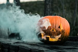 Qué hacer con las calabazas que sobraron de Halloween en Washington D.C.