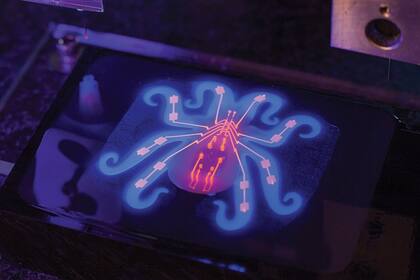 Estos desarrollos buscan sumar nuevas formas de inter interacción con los humanos con el objetivo de acceder a lugares donde no llegan los tradicionales robots rígidos