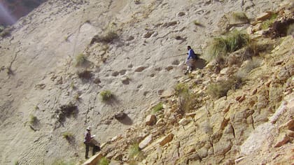 Estos descubrimiento dan indicios de la existencia de ''''un mar de poca profundidad'''' pero con miles de kilómetros cuadrados de extensión