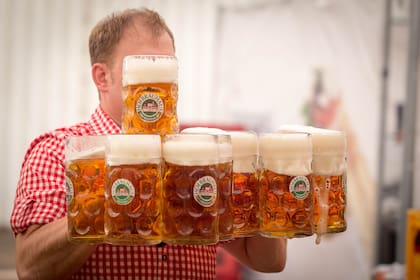 Estos festivales, además de cerveza, van a contar con música en vivo y varias propuestas gastronómicas