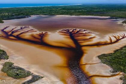 Estos increíbles dibujos se hallaron en el Lago Cakora, en la costa norte de Nueva Gales de Sur, en Australia