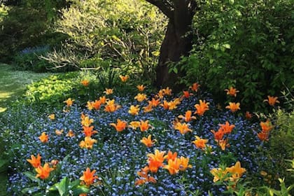 Estos jardines pertenecen al selecto grupo que comenzó sus actividades en 1927