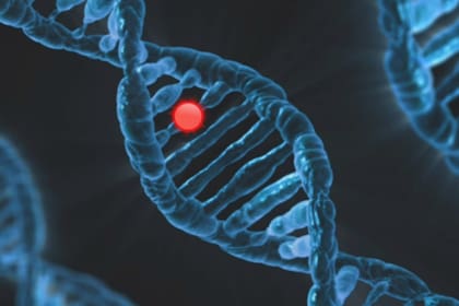 Estos son los motivos por los que hoy se celebra el Día del ADN