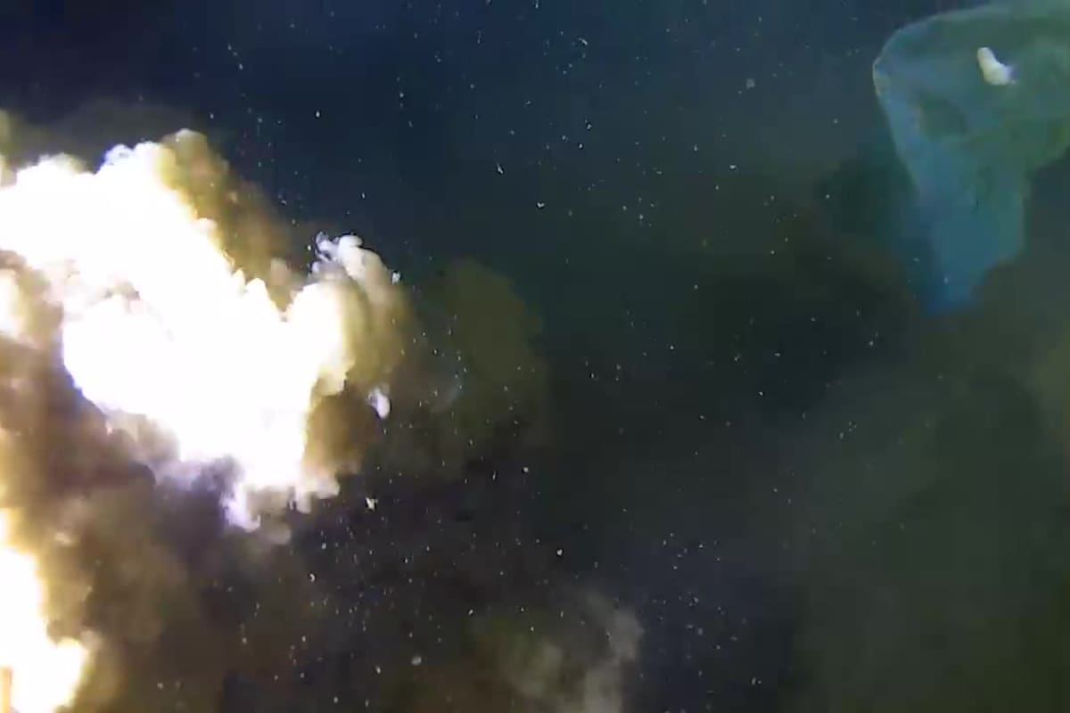 Estremecedor hallazgo en la Fosa de Atacama