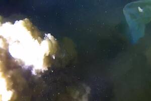 Estremecedor hallazgo en la Fosa de Atacama