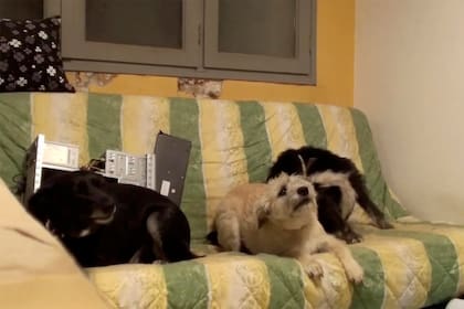 Estrenos de cine: Qué será del verano, una película atrevida, libre y cargada de imaginación