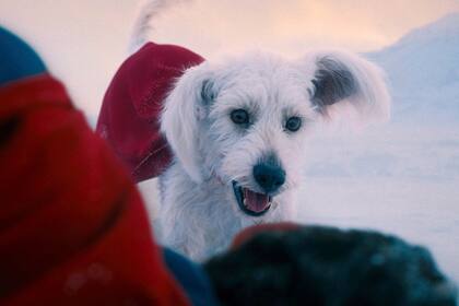 Estrenos de verano: 11 actores revelación