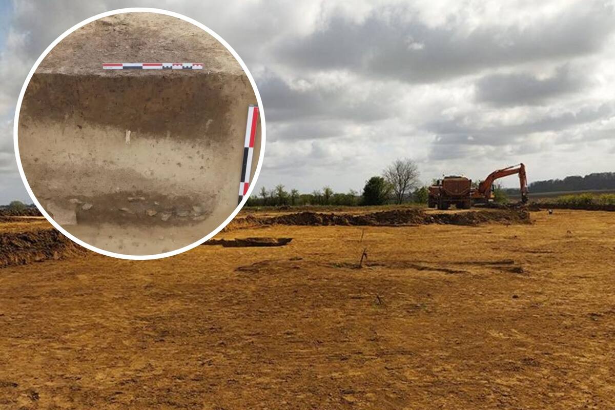Estructuras del Neolítico llamaron la atención durante una excavación en Francia