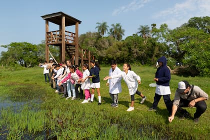 Estudiantes de Loreto en los Esteros del Iberá reintroduciendo plantas carnívoras que ellos mismos multiplicaron gracias al proyecto de Carnívoras Argentina apoyado por National Geographic.