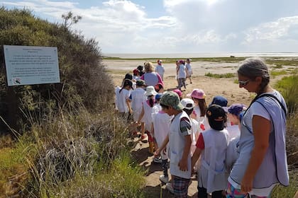 Estudiantes de todos las edades participan continuamente del paseo educativo que los lleva a los humedales