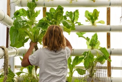 Estudiantes del Colegio San Pedro Apóstol trabajan en proyectos ambientales dentro del campus de la institución cordobesa, finalista mundial en la categoría Acción Ambiental de los World’s Best School Prizes 2026