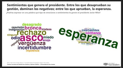 Estudio de la universidad de San Andrés sobre los sentimientos que genera el Presidente