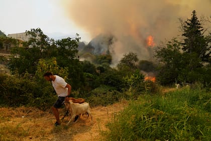 Estudio: El cambio climático intensificó los incendios en Turquía y Grecia