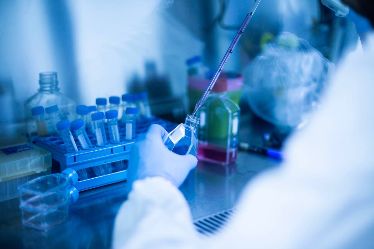 Estudio identificó cuál es la proteína clave para quemar grasa y combatir la obesidad